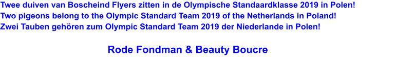 Twee duiven van Boscheind Flyers zitten in de Olympische Standaardklasse 2019 in Polen! Two pigeons belong to the Olympic Standard Team 2019 of the Netherlands in Poland! Zwei Tauben gehren zum Olympic Standard Team 2019 der Niederlande in Polen!                                                 Rode Fondman & Beauty Boucre